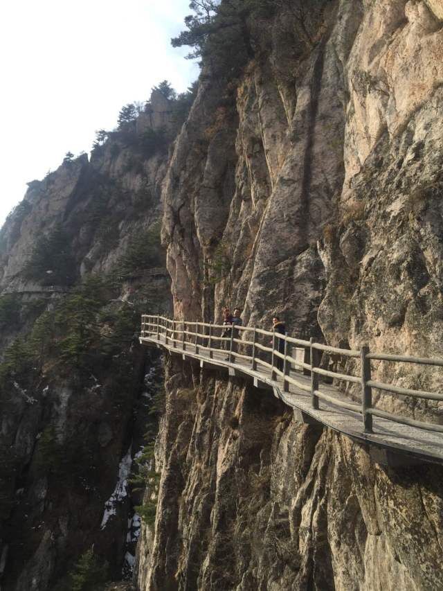 科泰風采